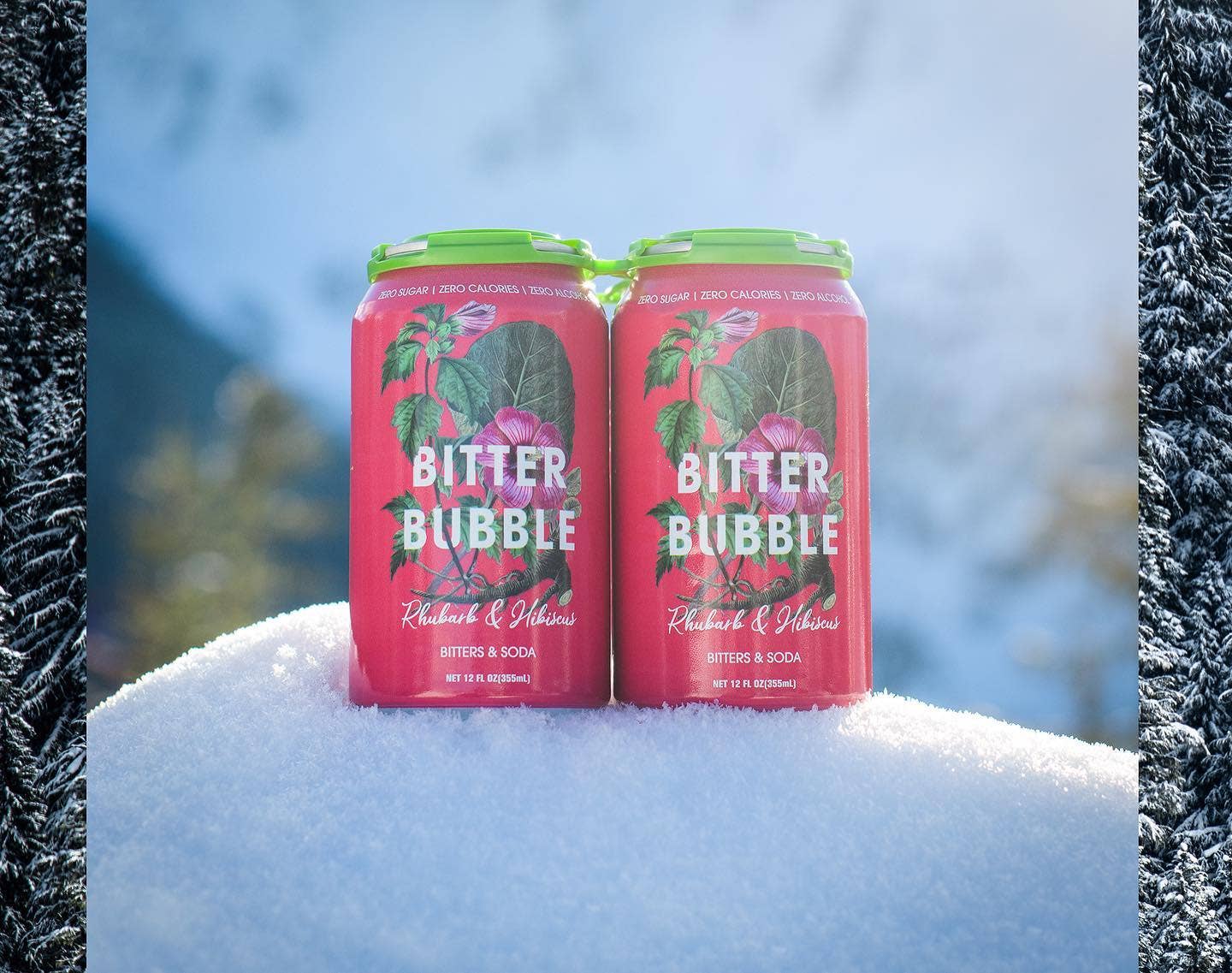 Rhubarb and Hibiscus 12-Pack