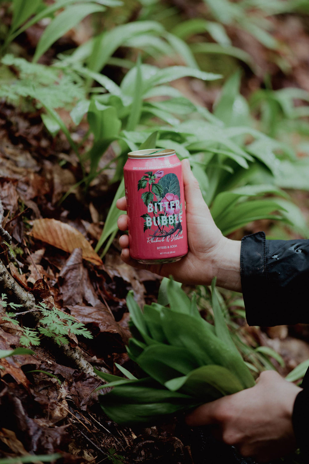 Rhubarb and Hibiscus 12-Pack