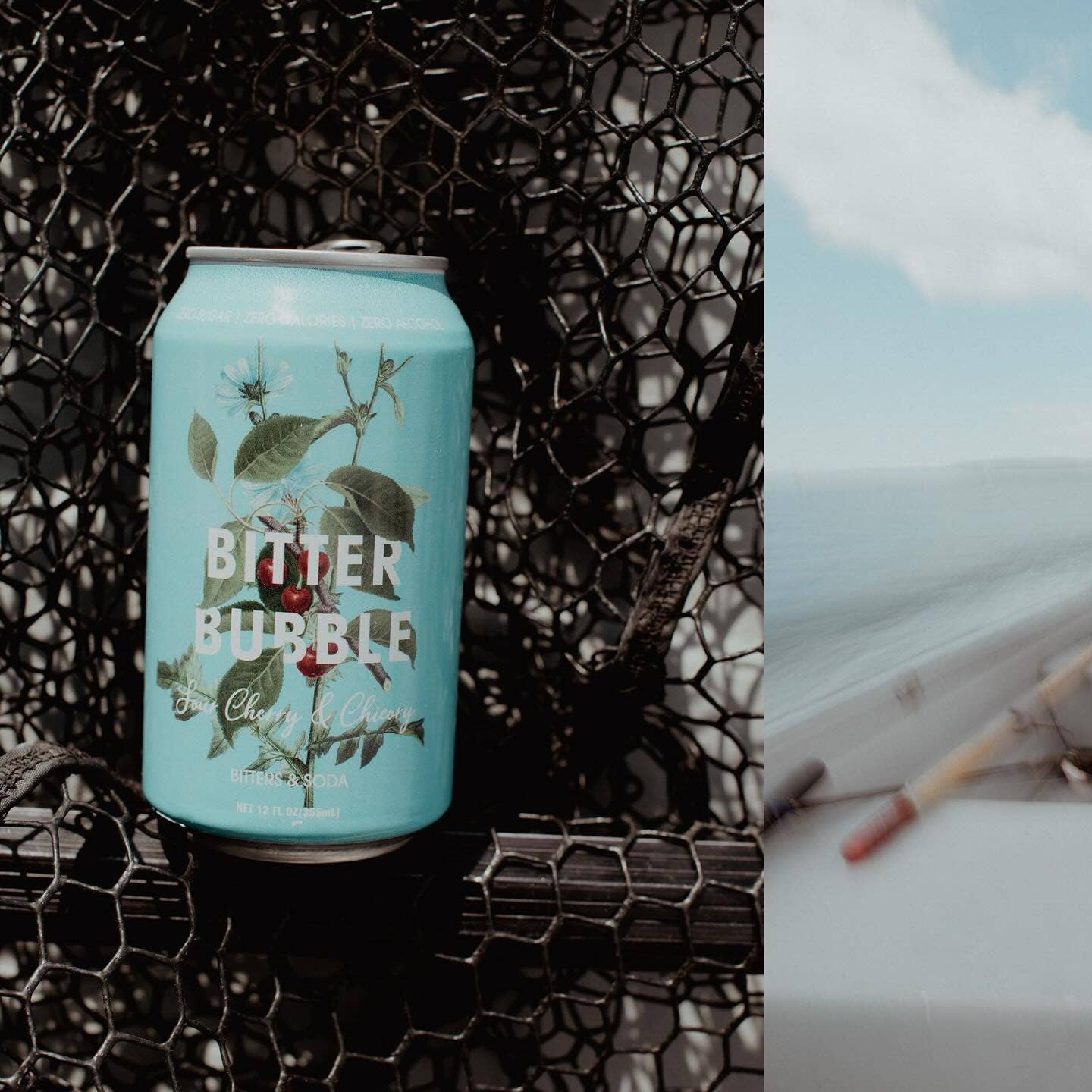 Sour Cherry and Chicory 12-pack